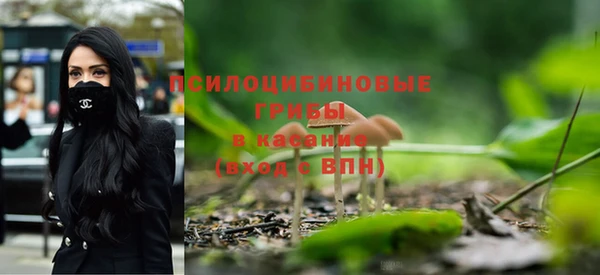 метамфетамин Богородицк