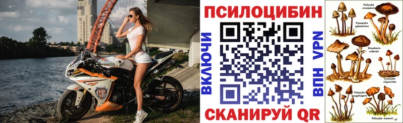 Галлюциногенные грибы прущие грибы  Ессентукская 